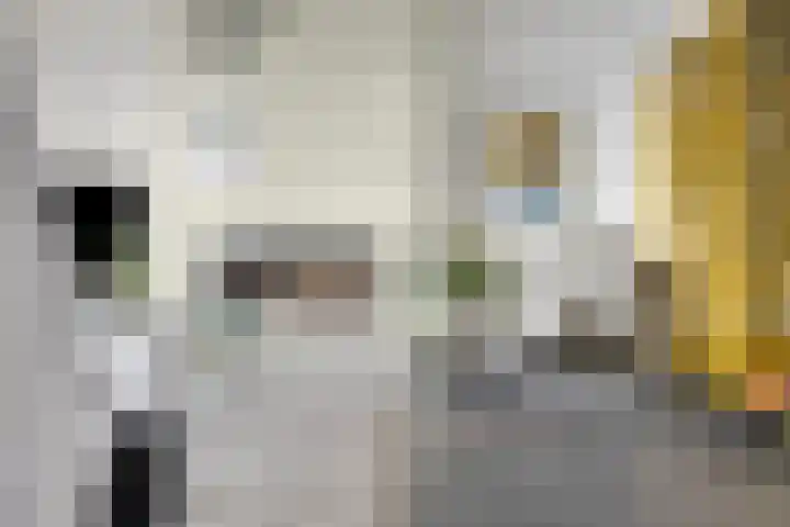 Klaphekkenstraat 7 G Oss thumbnail 11