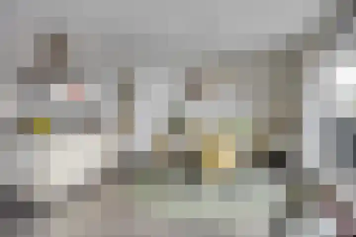 Klaphekkenstraat 7 G Oss thumbnail 16