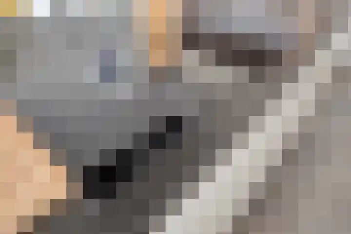 Klaphekkenstraat 7 G Oss thumbnail 18