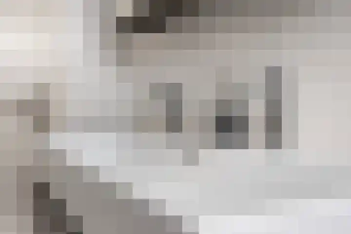 Klaphekkenstraat 7 G Oss thumbnail 24