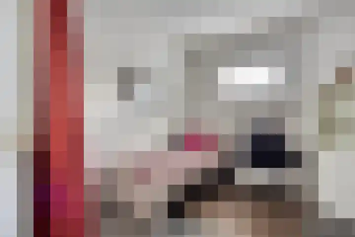 Klaphekkenstraat 7 G Oss thumbnail 26