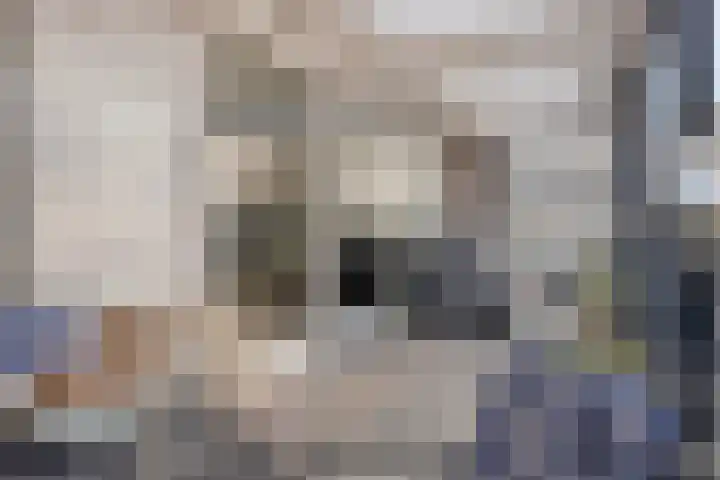 Klaphekkenstraat 7 G Oss thumbnail 30