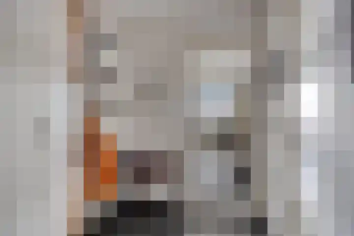 Klaphekkenstraat 7 G Oss thumbnail 9