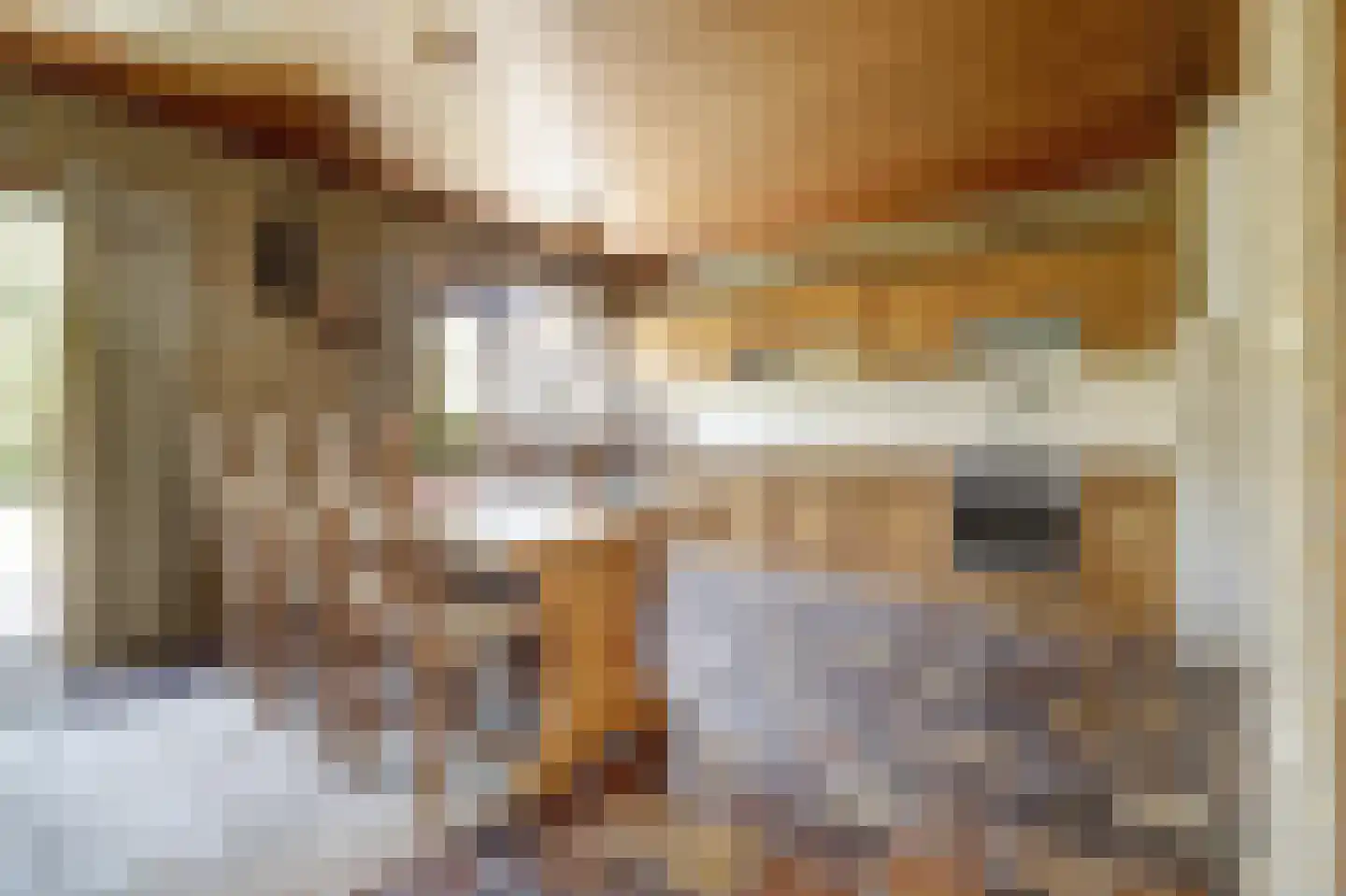 Klaphekkestraat 9 Goirle thumbnail 10