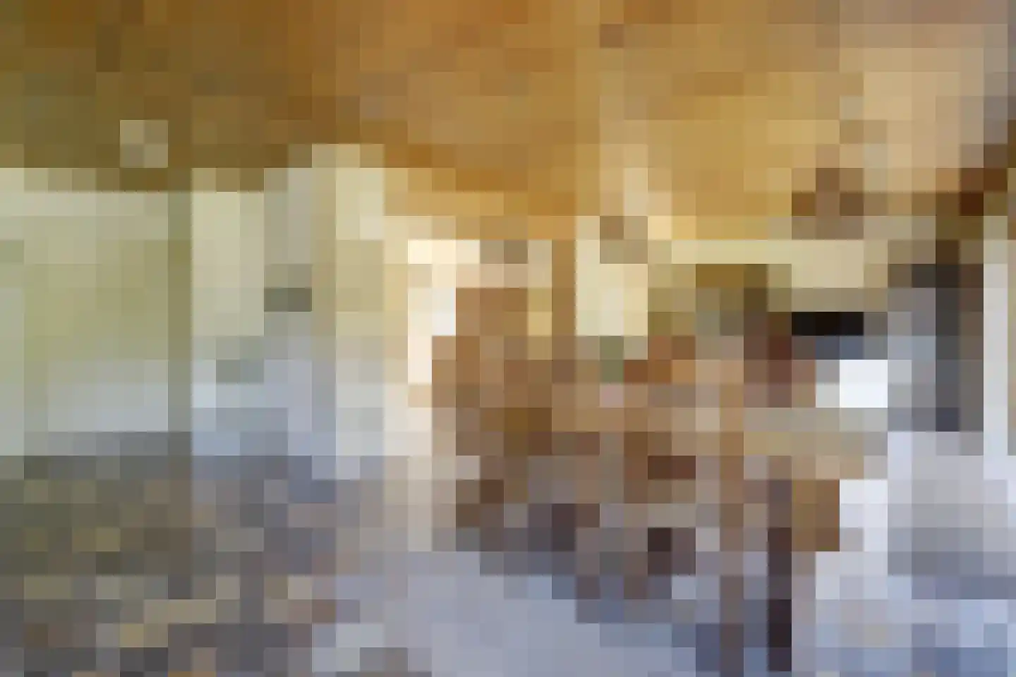 Klaphekkestraat 9 Goirle thumbnail 11