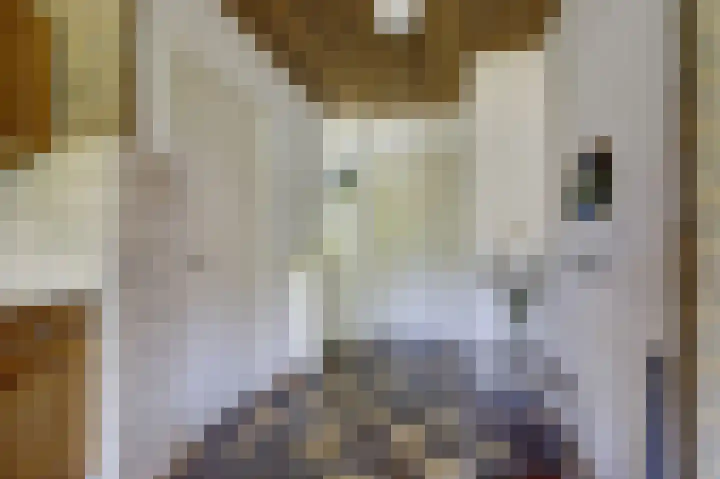 Klaphekkestraat 9 Goirle thumbnail 13