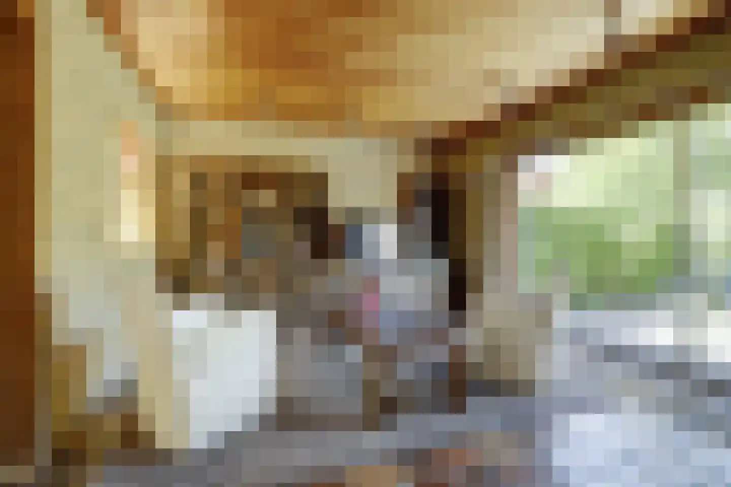 Klaphekkestraat 9 Goirle thumbnail 8