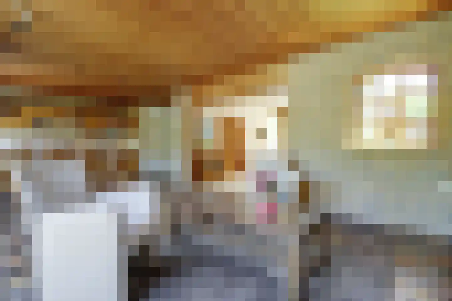 Klaphekkestraat 9 Goirle thumbnail 9
