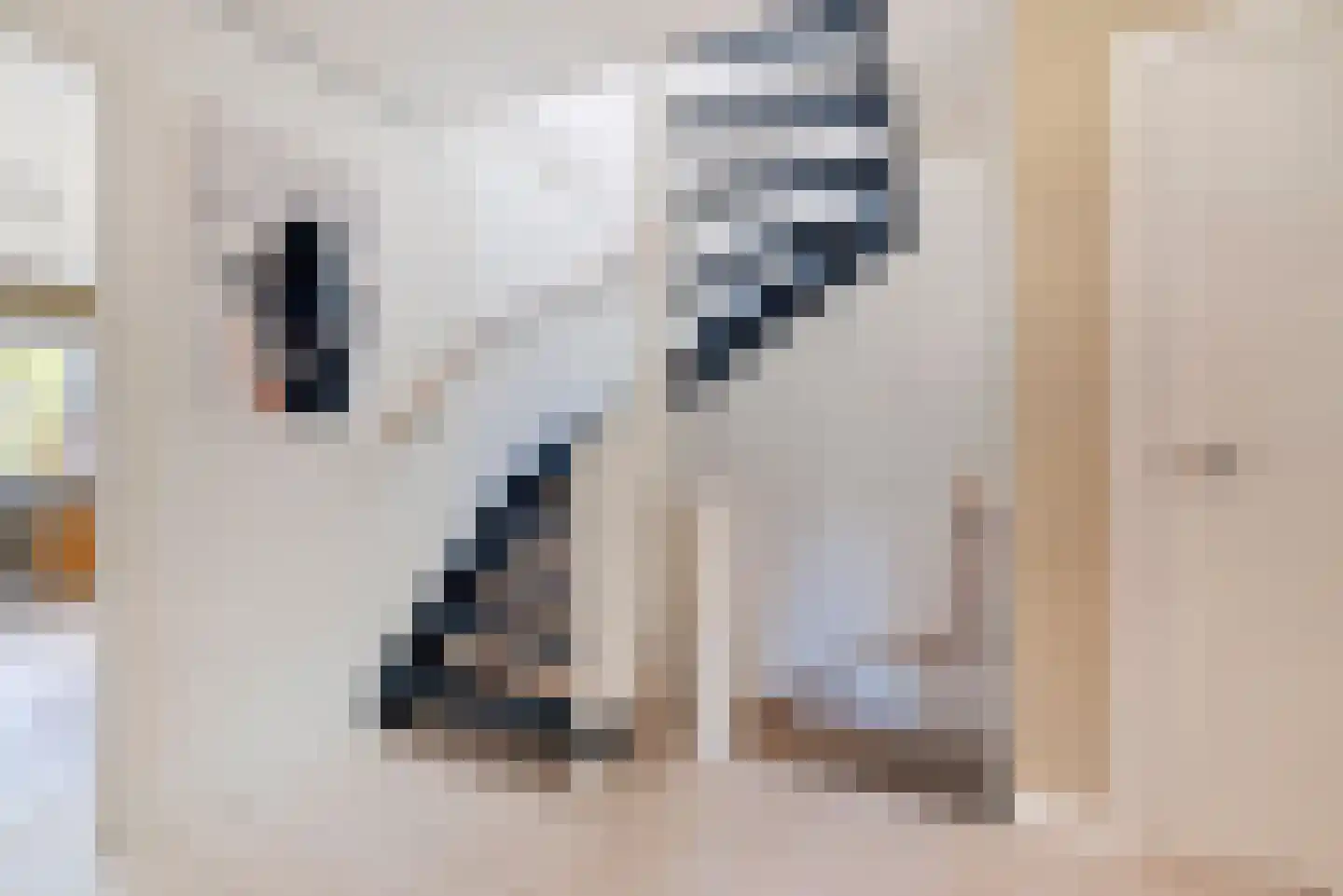 Klapheklaan 12 Aerdenhout thumbnail 42