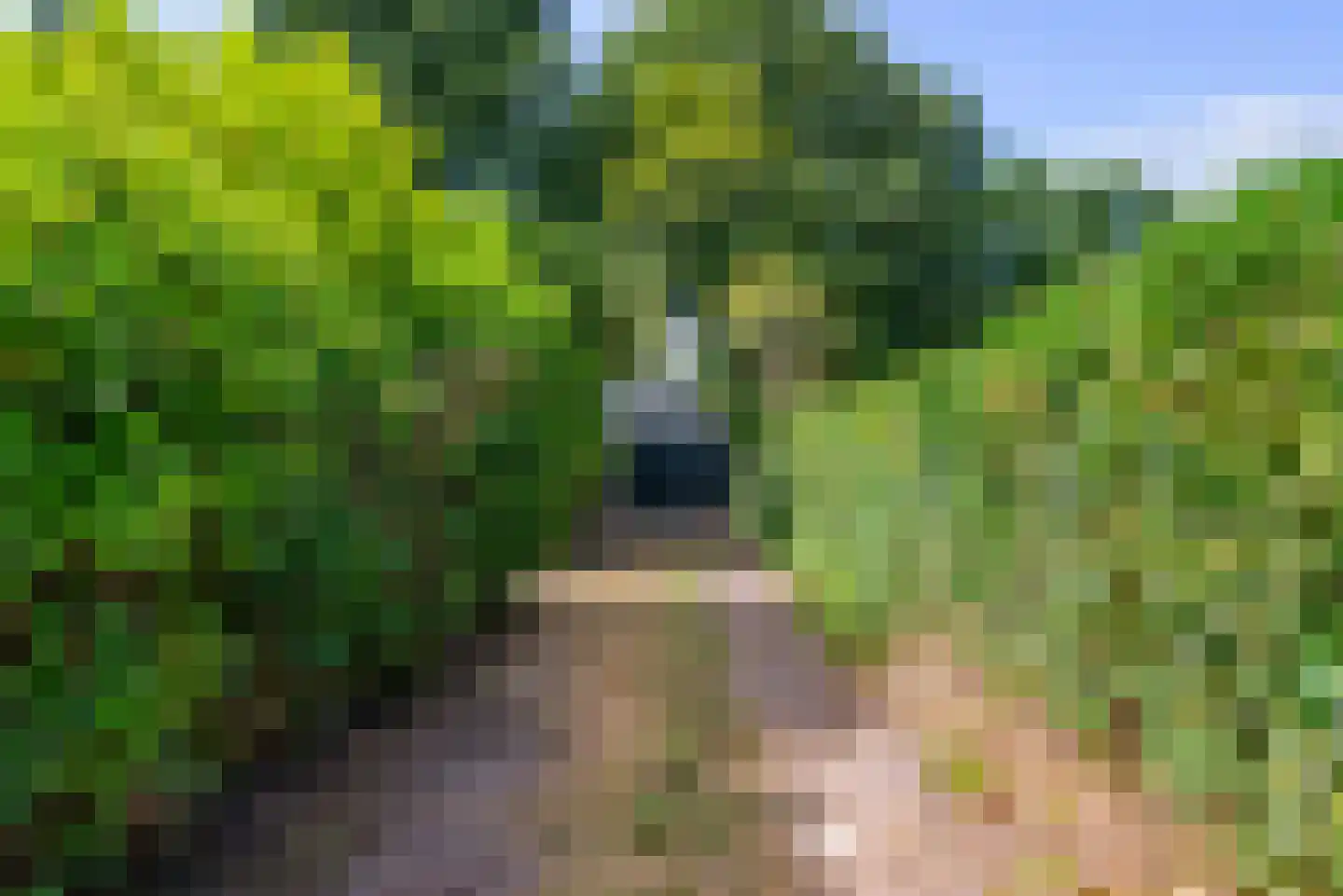 Klapheklaan 12 Aerdenhout thumbnail 54
