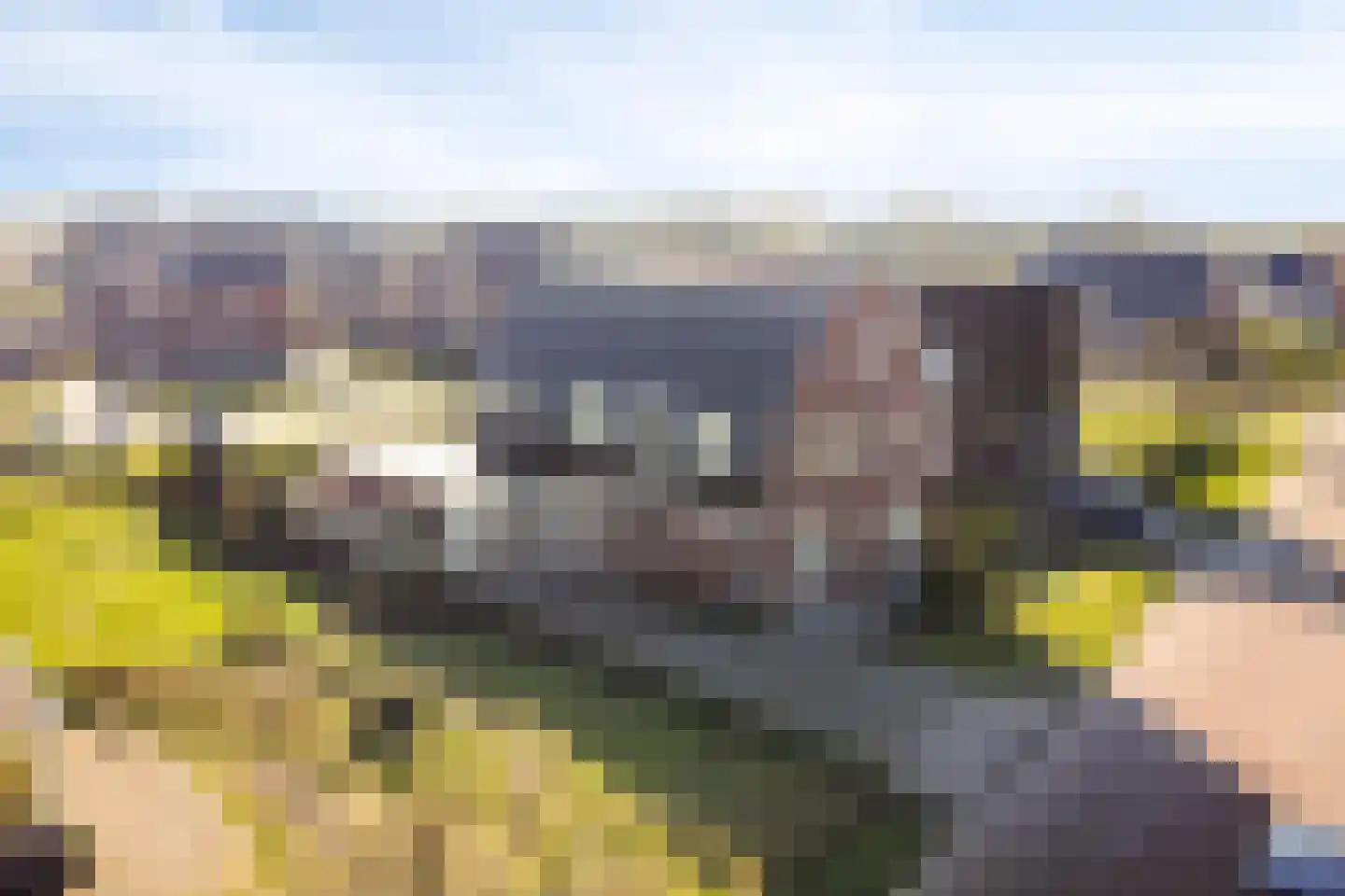 Klaphekstraat 25 b Ewijk thumbnail 68