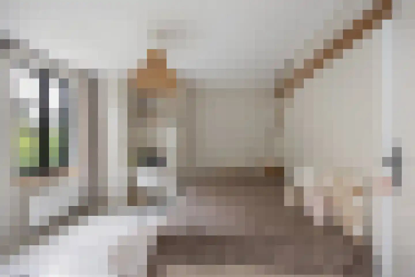 Klaphekstraat 4 Ewijk thumbnail 32