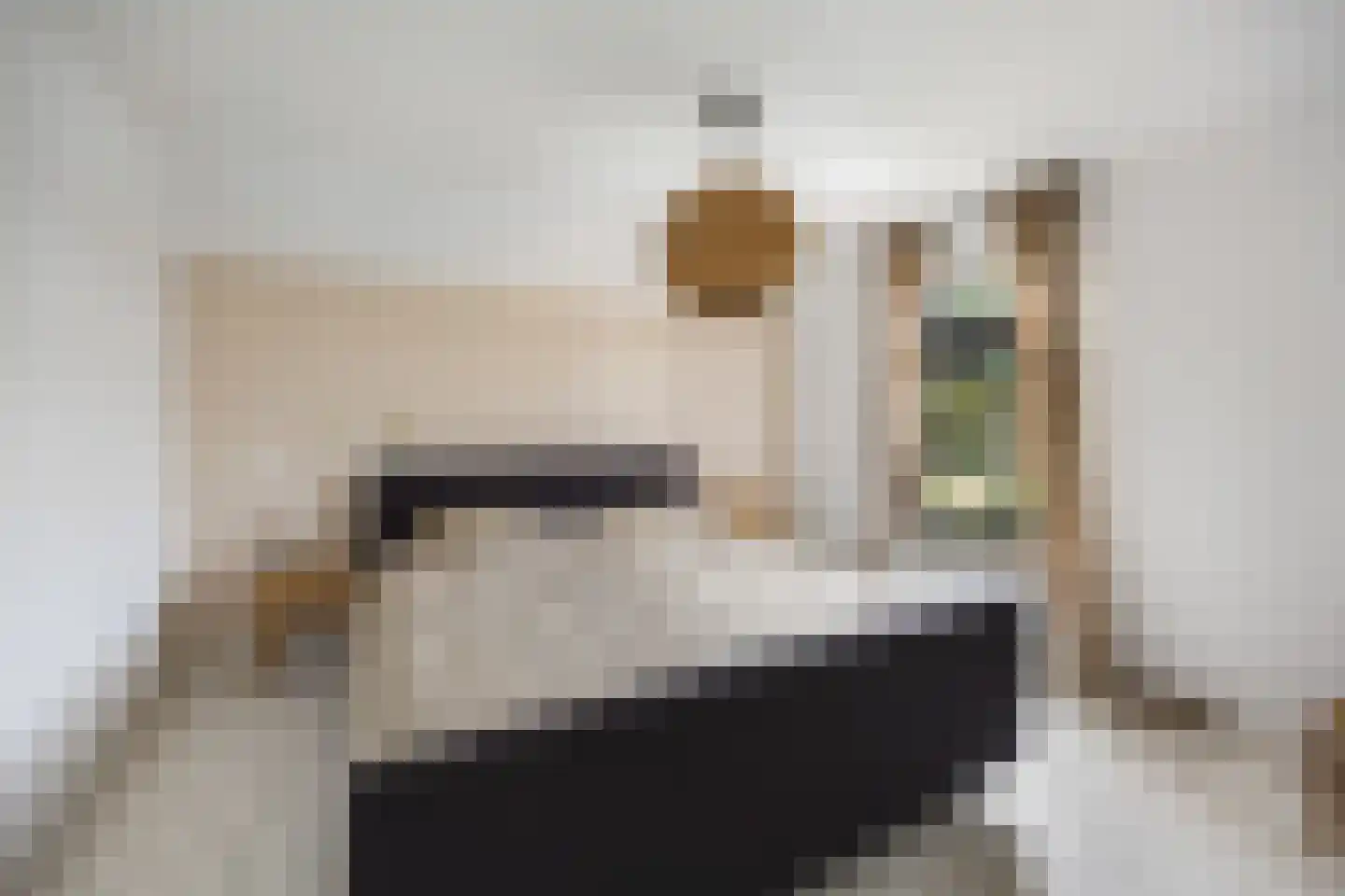 Klaphekstraat 4 Ewijk thumbnail 41