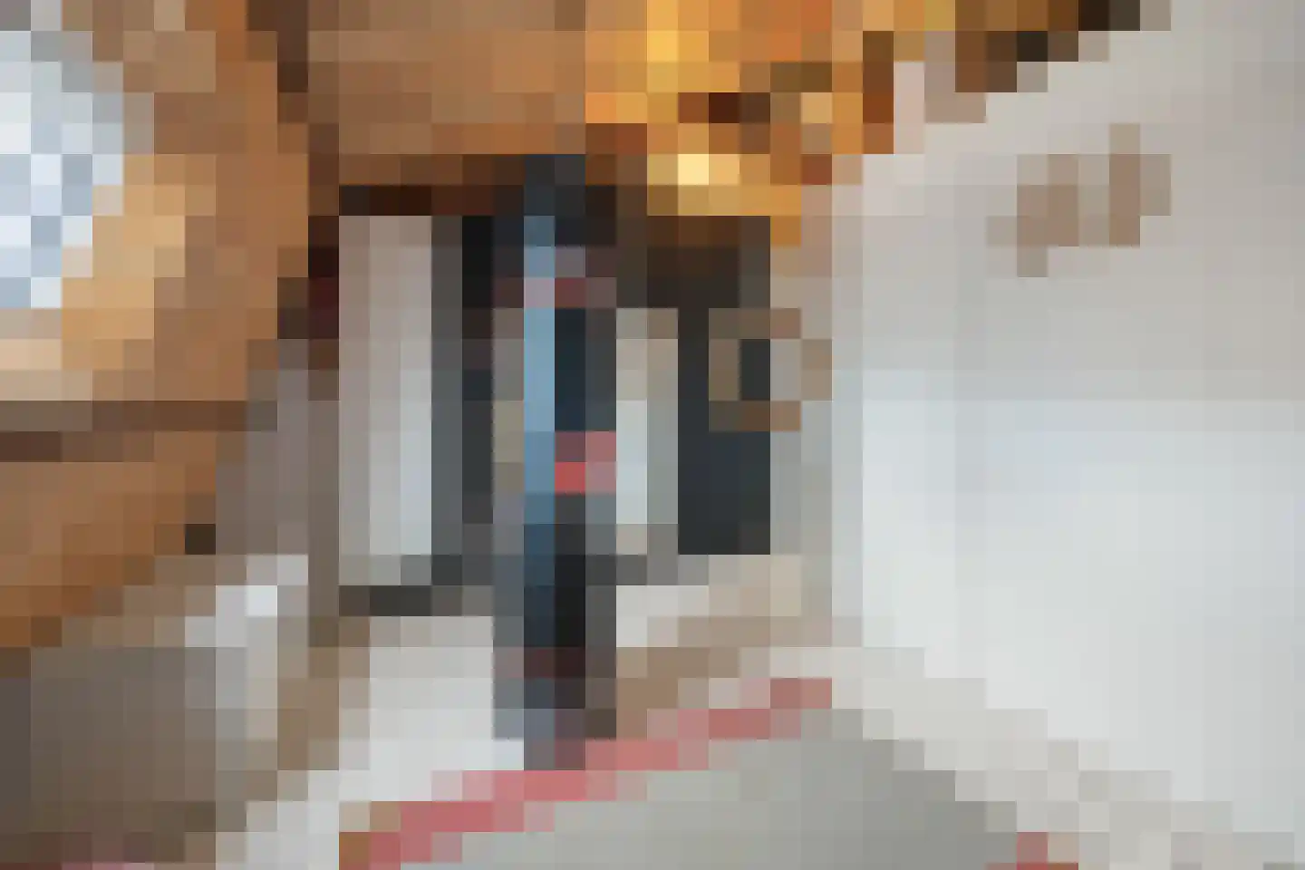 Klaphekstraat 4 Ewijk thumbnail 48