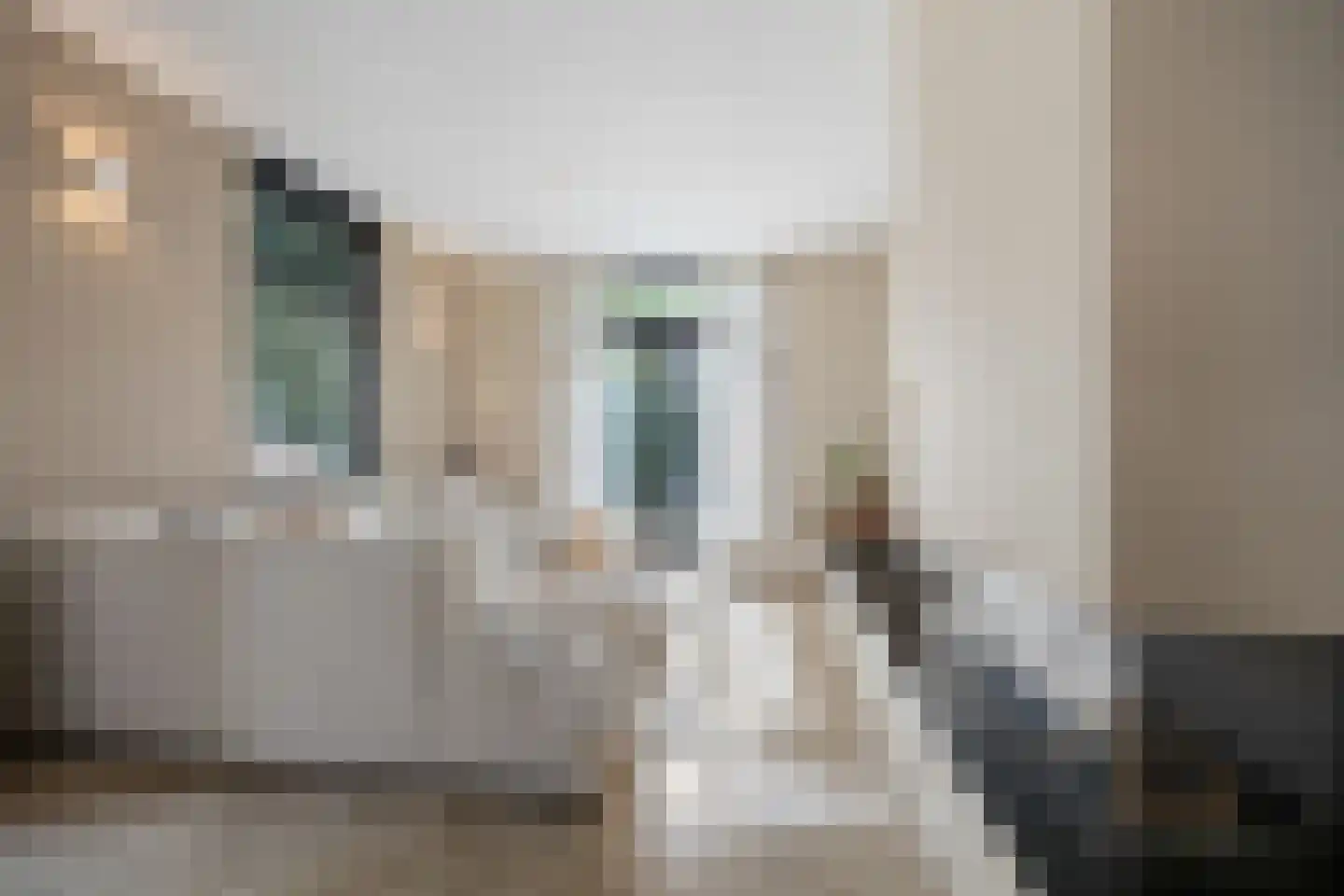 Klaphekstraat 4 Ewijk thumbnail 5