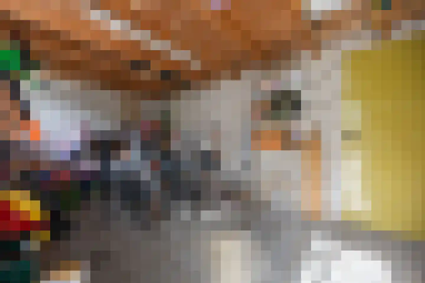 Klaphekstraat 4 Ewijk thumbnail 51