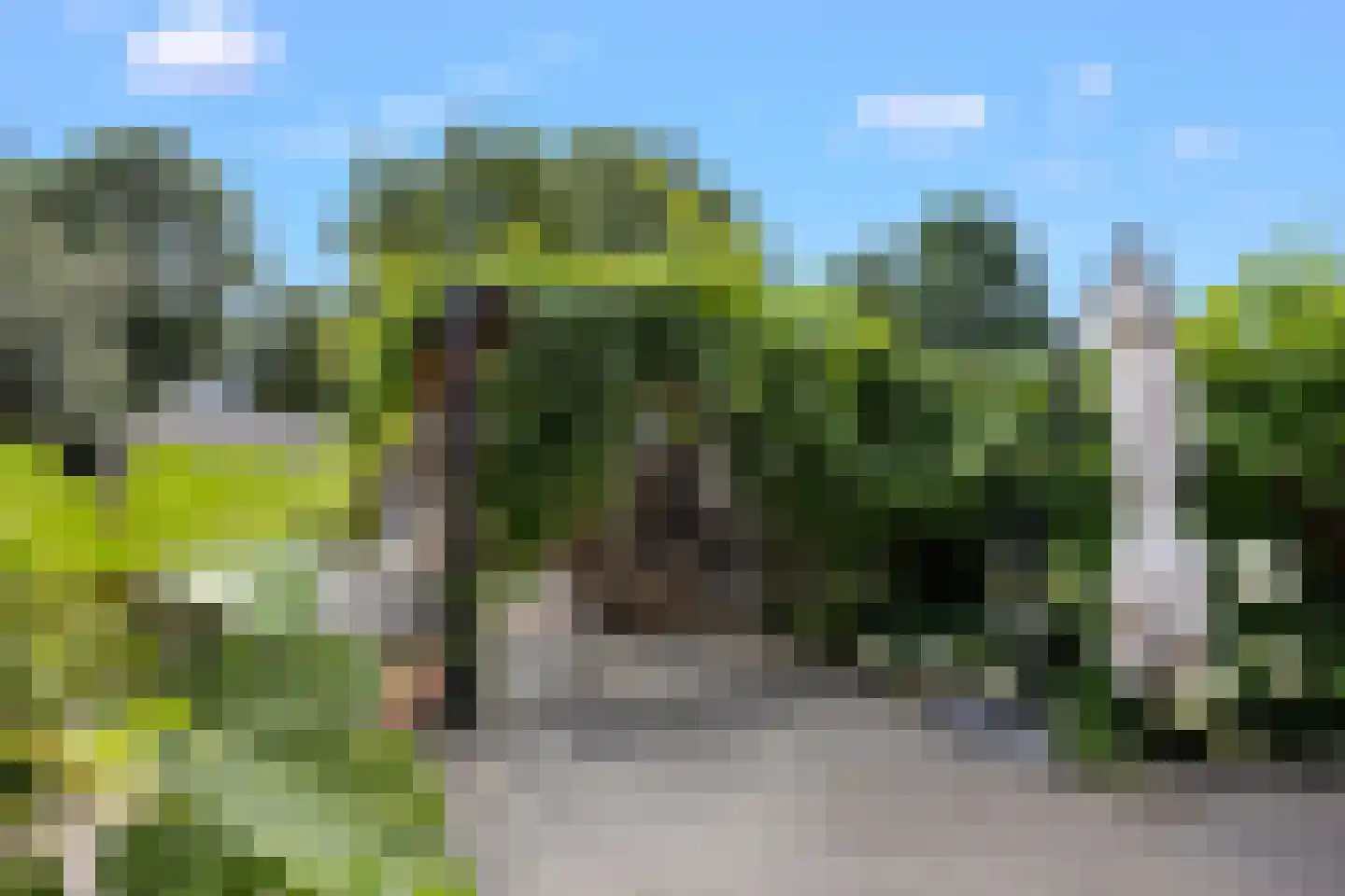 Klaphekstraat 4 Ewijk thumbnail 56