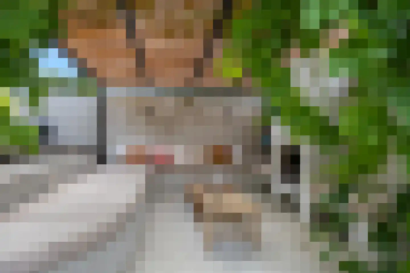 Klaphekstraat 4 Ewijk thumbnail 57