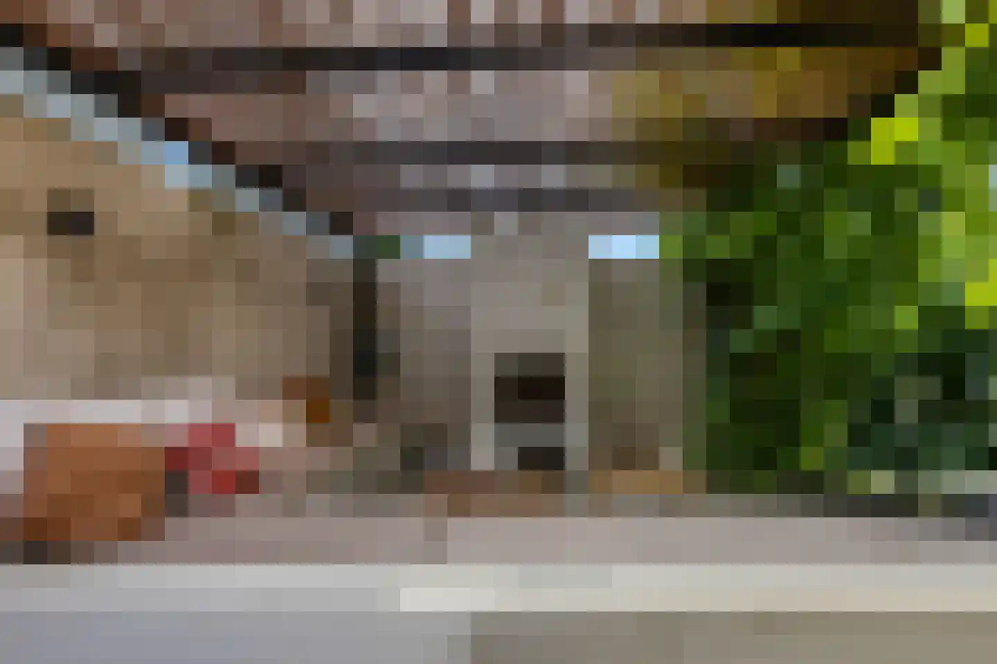 Klaphekstraat 4 Ewijk thumbnail 59