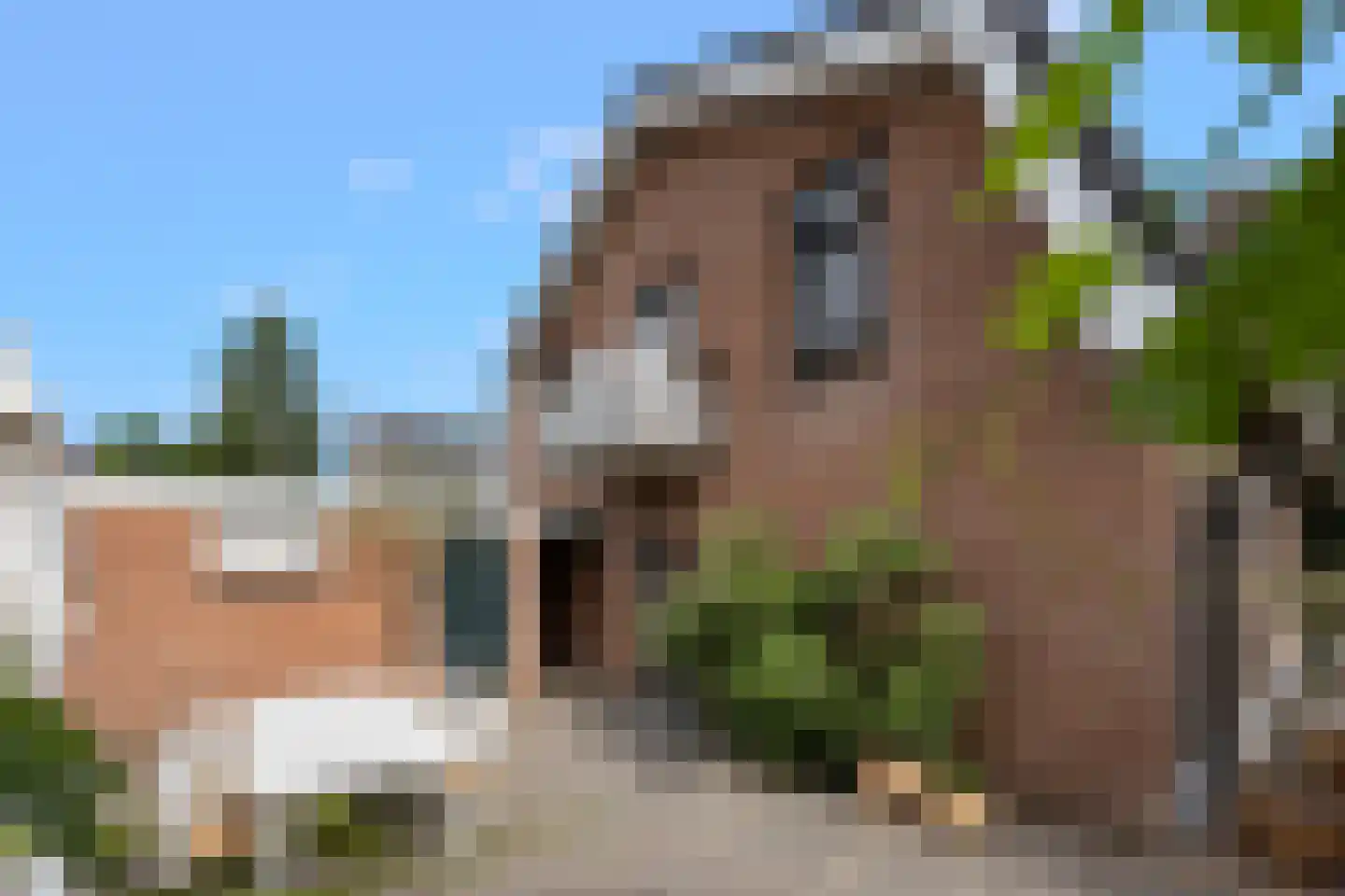 Klaphekstraat 4 Ewijk thumbnail 61