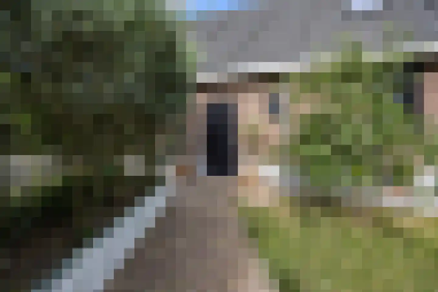 Klaphekstraat 4 Ewijk thumbnail 65