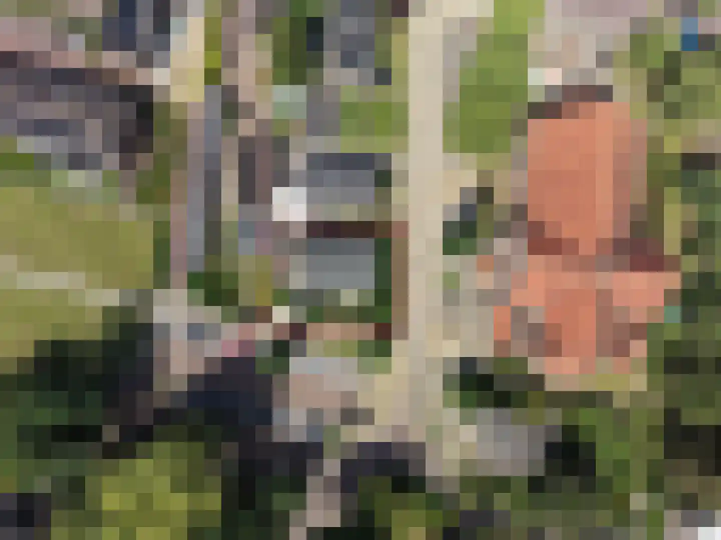 Klaphekstraat 4 Ewijk thumbnail 72