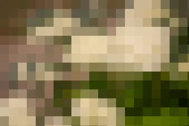 Klaphekweg 15 Ede thumbnail 41
