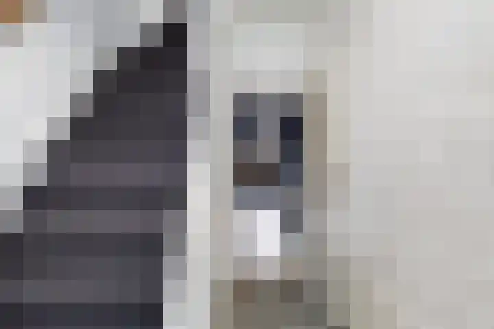 Klaphekweg 53 Ede thumbnail 17
