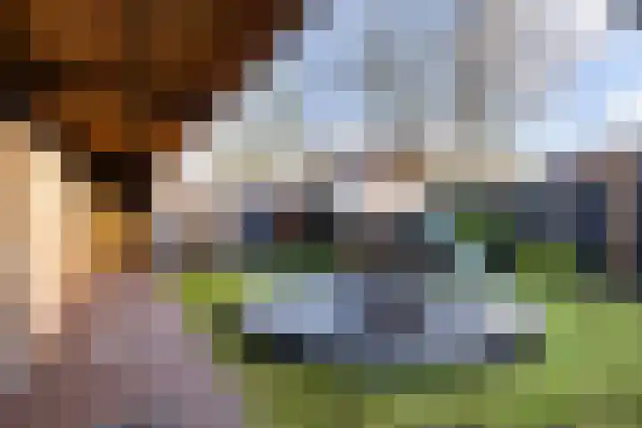 Klaphekweg 53 Ede thumbnail 33