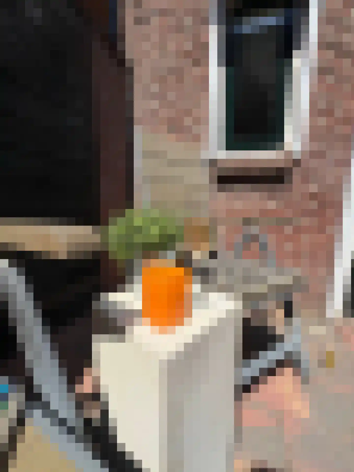 Klappeijstraat 62 Oosterhout thumbnail 21