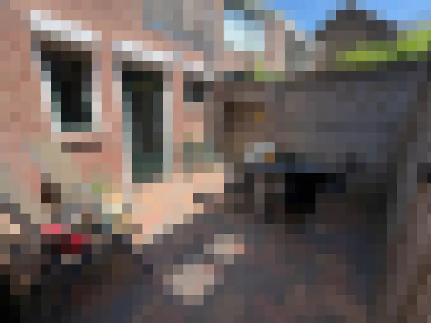 Klappeijstraat 62 Oosterhout thumbnail 23