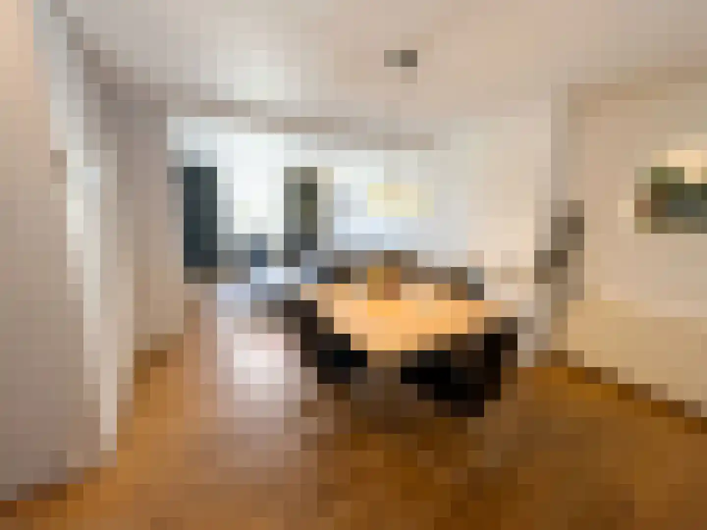 Klappeijstraat 62 Oosterhout thumbnail 7