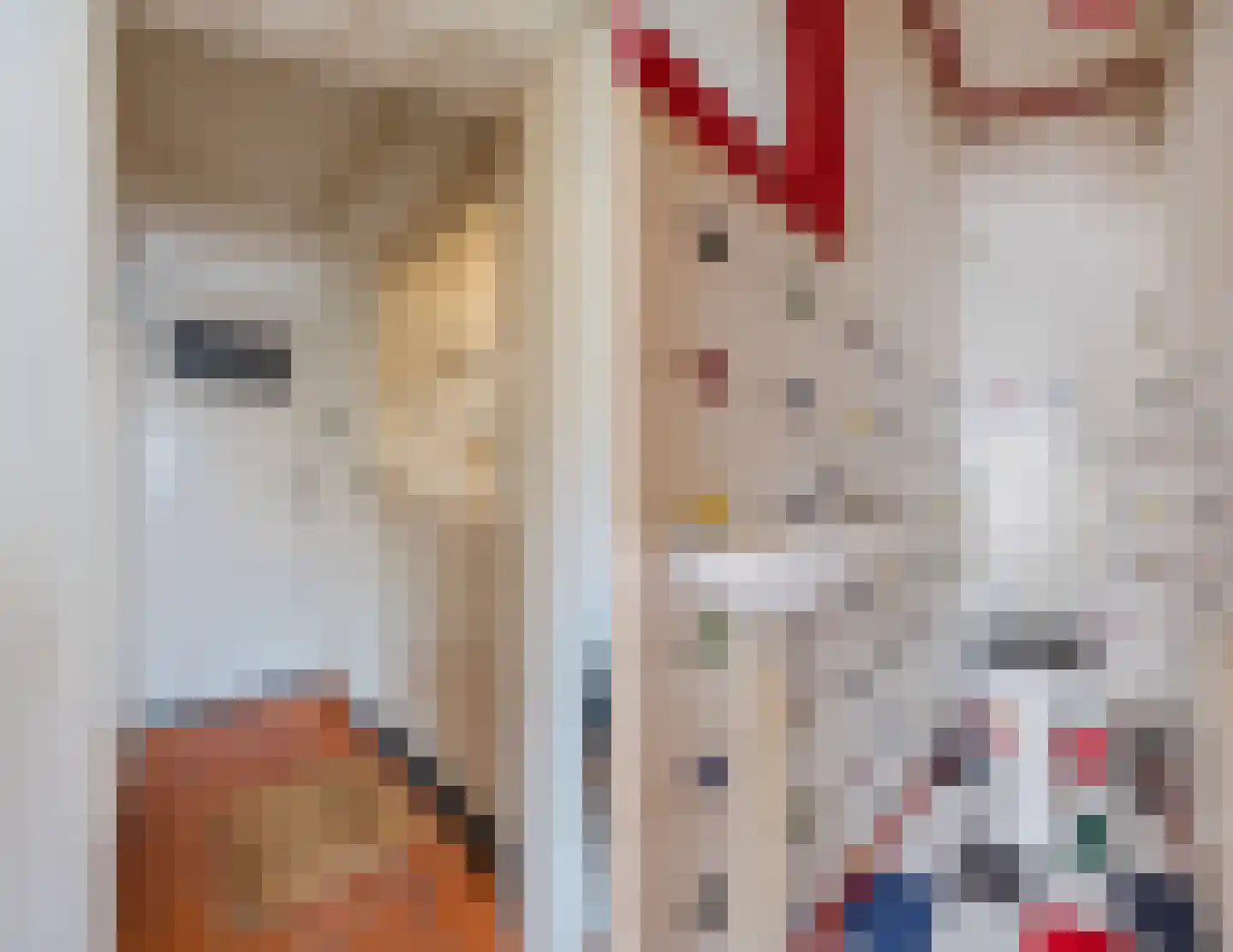Klappeijstraat 72 Oosterhout thumbnail 7