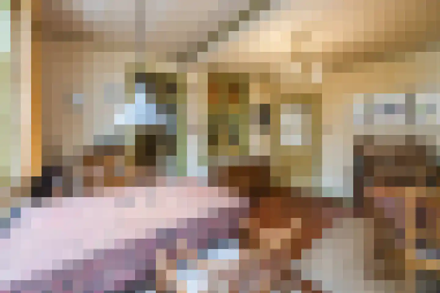 Klappeijstraat 72 Oosterhout thumbnail 8