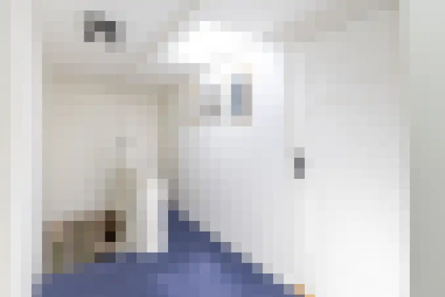 Klapperdijk 23 a Wapenveld thumbnail 22