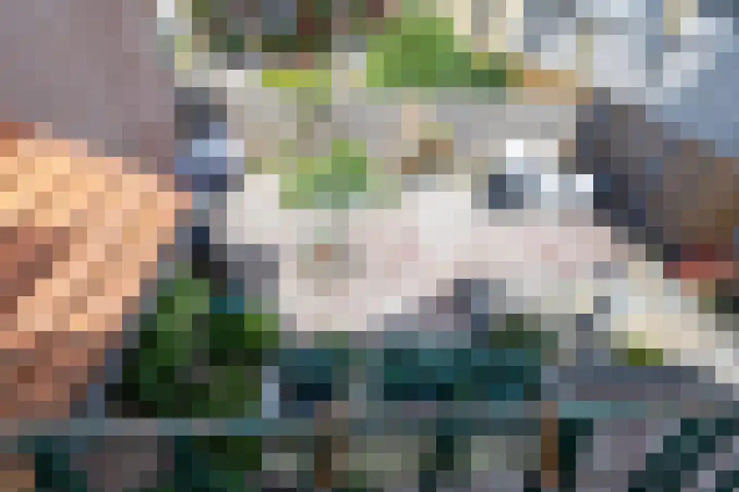 Klapperdijk 23 a Wapenveld thumbnail 33
