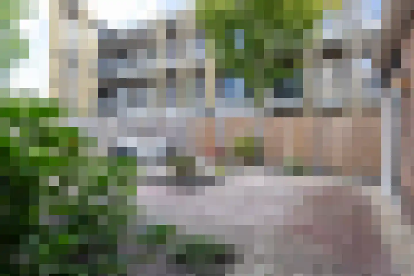 Klapperdijk 23 a Wapenveld thumbnail 40