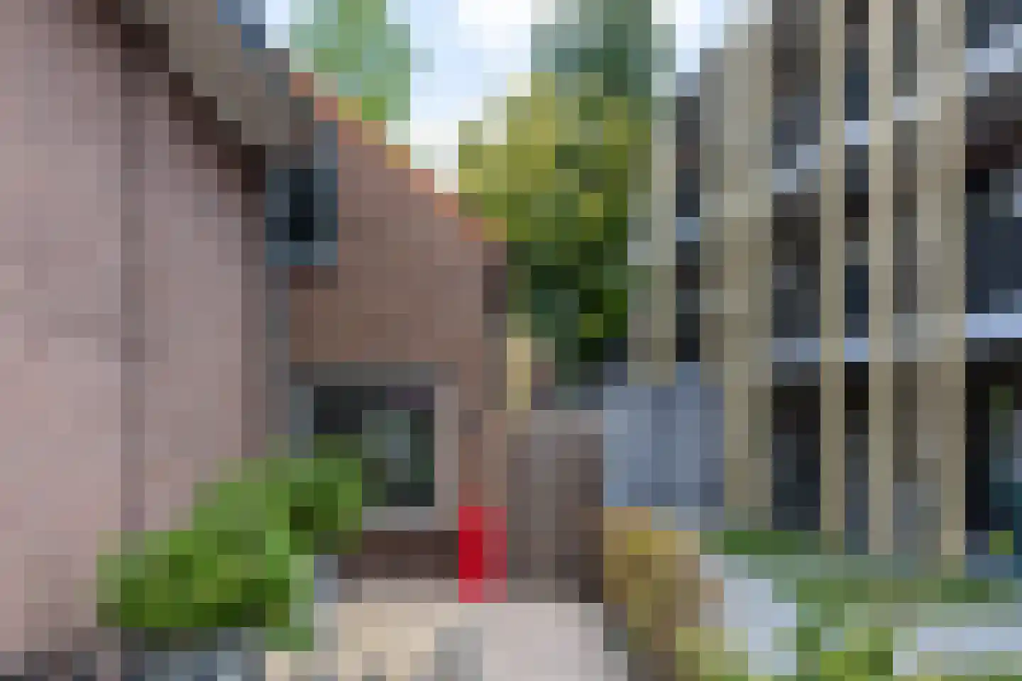 Klapperdijk 23 a Wapenveld thumbnail 45