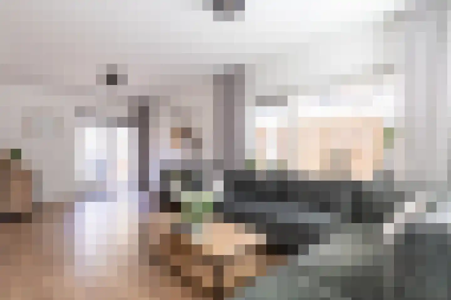 Klapperdijk 23 a Wapenveld thumbnail 8