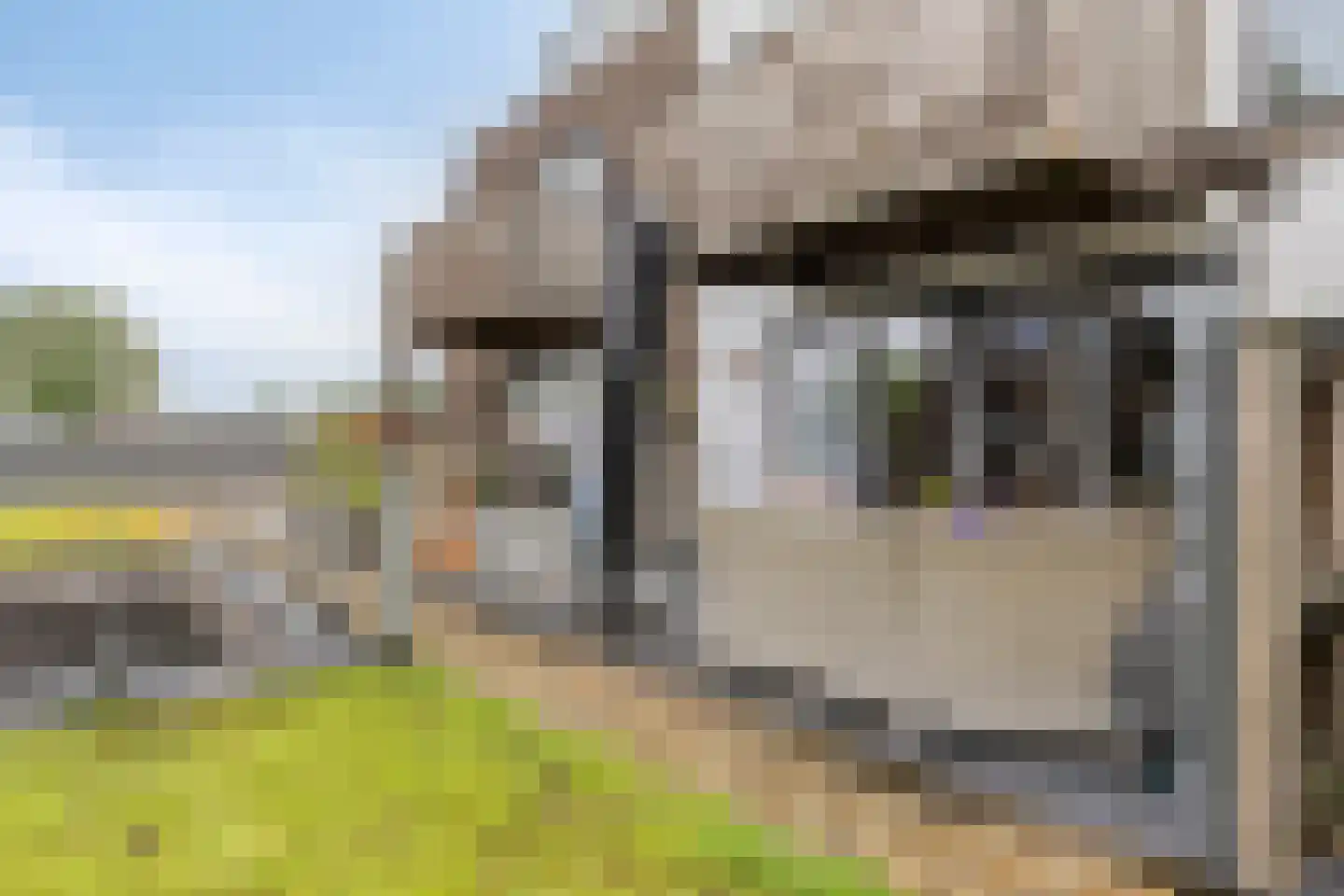 Klapperdijk 30 d Wapenveld thumbnail 23