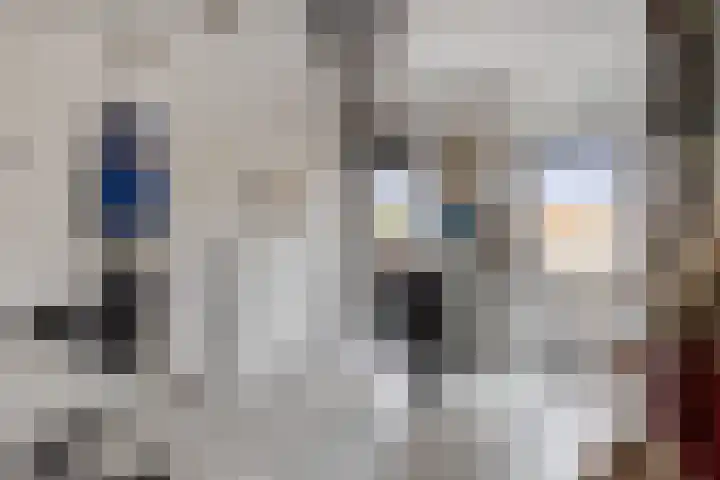Klapperdijk 30 f Wapenveld thumbnail 11