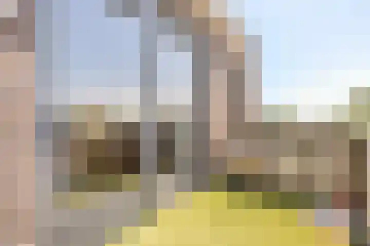 Klapperdijk 32 b Wapenveld thumbnail 19