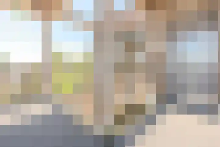 Klapperdijk 32 b Wapenveld thumbnail 20