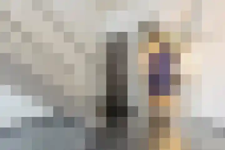 Klapperdijk 32 b Wapenveld thumbnail 22