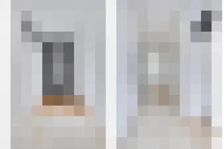 Klapperdijk 32 g Wapenveld thumbnail 15