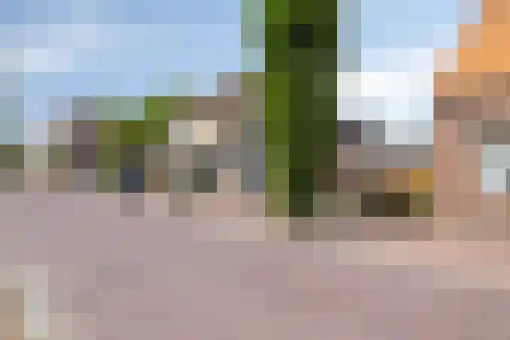 Klapperdijk 32 g Wapenveld thumbnail 23