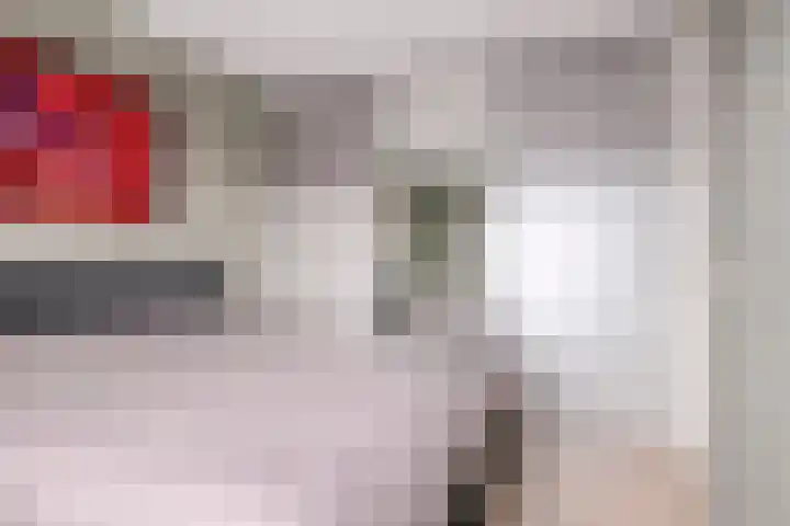 Klapperdijk 32 r Wapenveld thumbnail 10