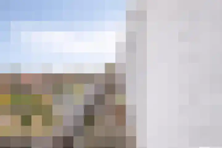 Klapperdijk 32 r Wapenveld thumbnail 14