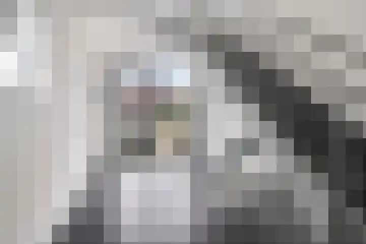 Klapperdijk 32 r Wapenveld thumbnail 21