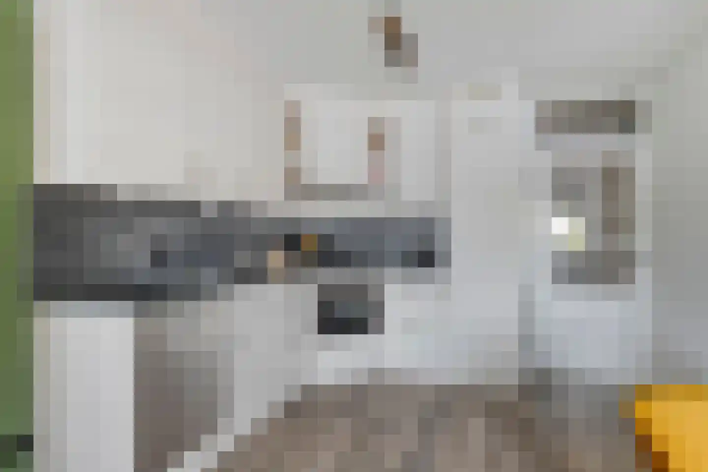 Klapperdijk 34 d Wapenveld thumbnail 6